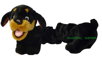 Bungee Rocky the Rottweiler  