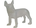Bull Terrier Staand