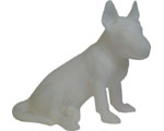 Bull Terrier zittend wit