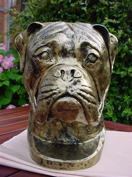 Doghead Boxer (ALLEEN AFHALEN)