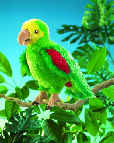 Amazon Parrot  handpop