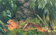 Hobby Foto Achtergrond Rainforest/black