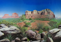 Hobby Foto Achtergrond Red Canyon