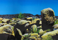 Hobby Foto Achtergrond Vulcan Island