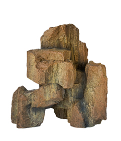 Fossil Rock 1