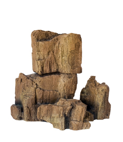 Fossil Rock 3