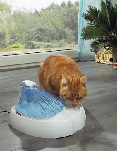 Aqua Fresh Waterdispenser