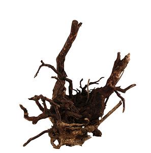 Terrarium Root Natural
