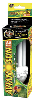 Avian Sun 5.0 Compact