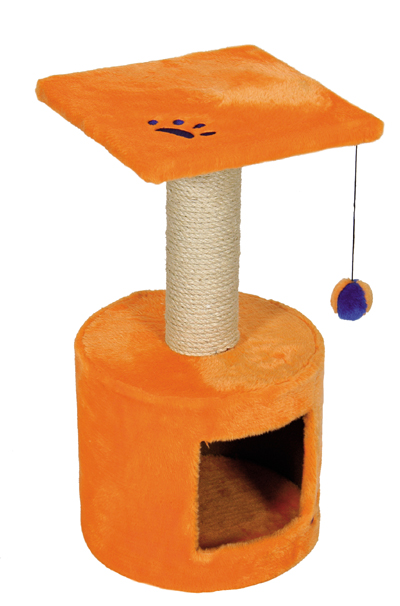 Boogie Oranje