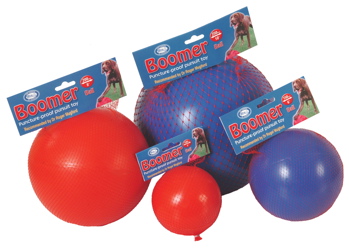 Boomer Ball 10" 250 mm. Powerful pursuit toy