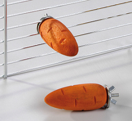 Carrot