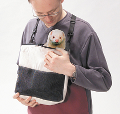 Carrying bag