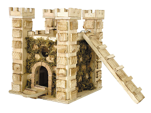 Castle