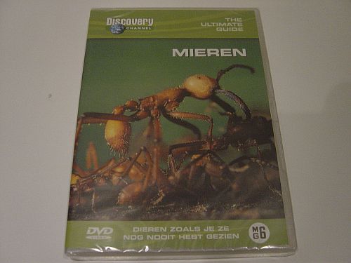 Mieren - Discovery