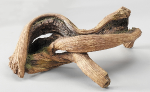 Driftwood