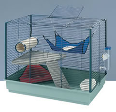 Furet Plus New