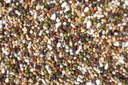 Gold-mix kiemzaad grof 800gr.