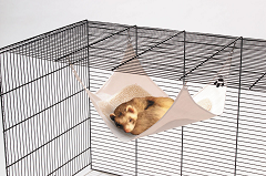 Hammock