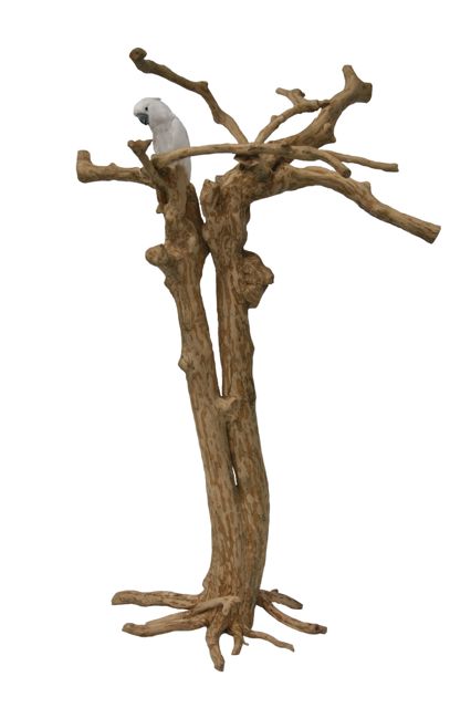 Java Tree MOOIE NIEUWE MODELLEN BINNEN !