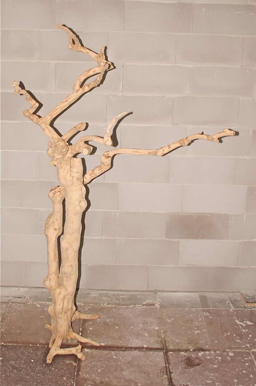 Java Tree Nr. 151  ca. 170 cm.