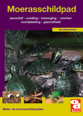 Moerasschildpad