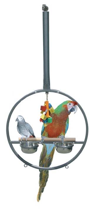 Papegaaien PlayRing
