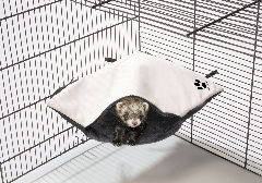 Sleeping Bag