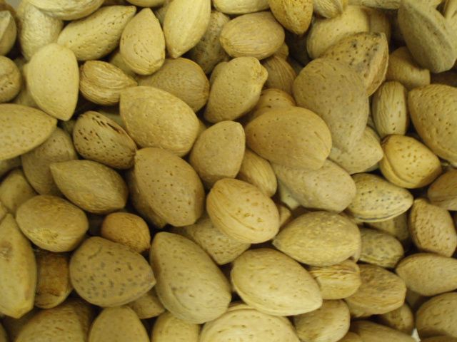 Amandelen in dop - 200 gram