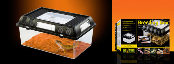 Breedingbox Small