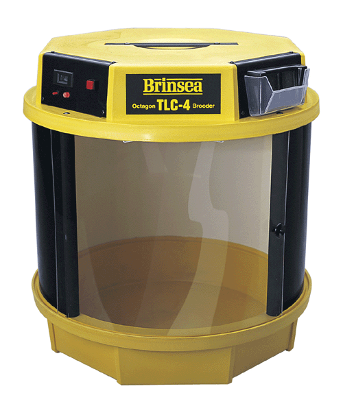 BRINSEA COUVEUZE OCTAGON TLC-4 