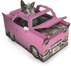 Cat Play House Cadelac