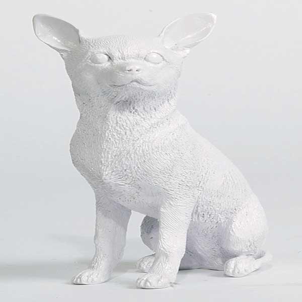 Chihuahua S wit