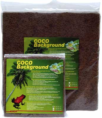 Coco Achterwand