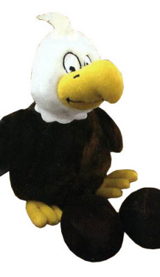 Baby Bald Eagle