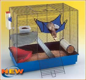 Furet Plus