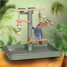 Parrot-Tower Tabletop Amazon