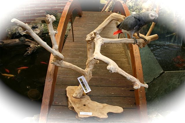 Java Tree Speelplaats