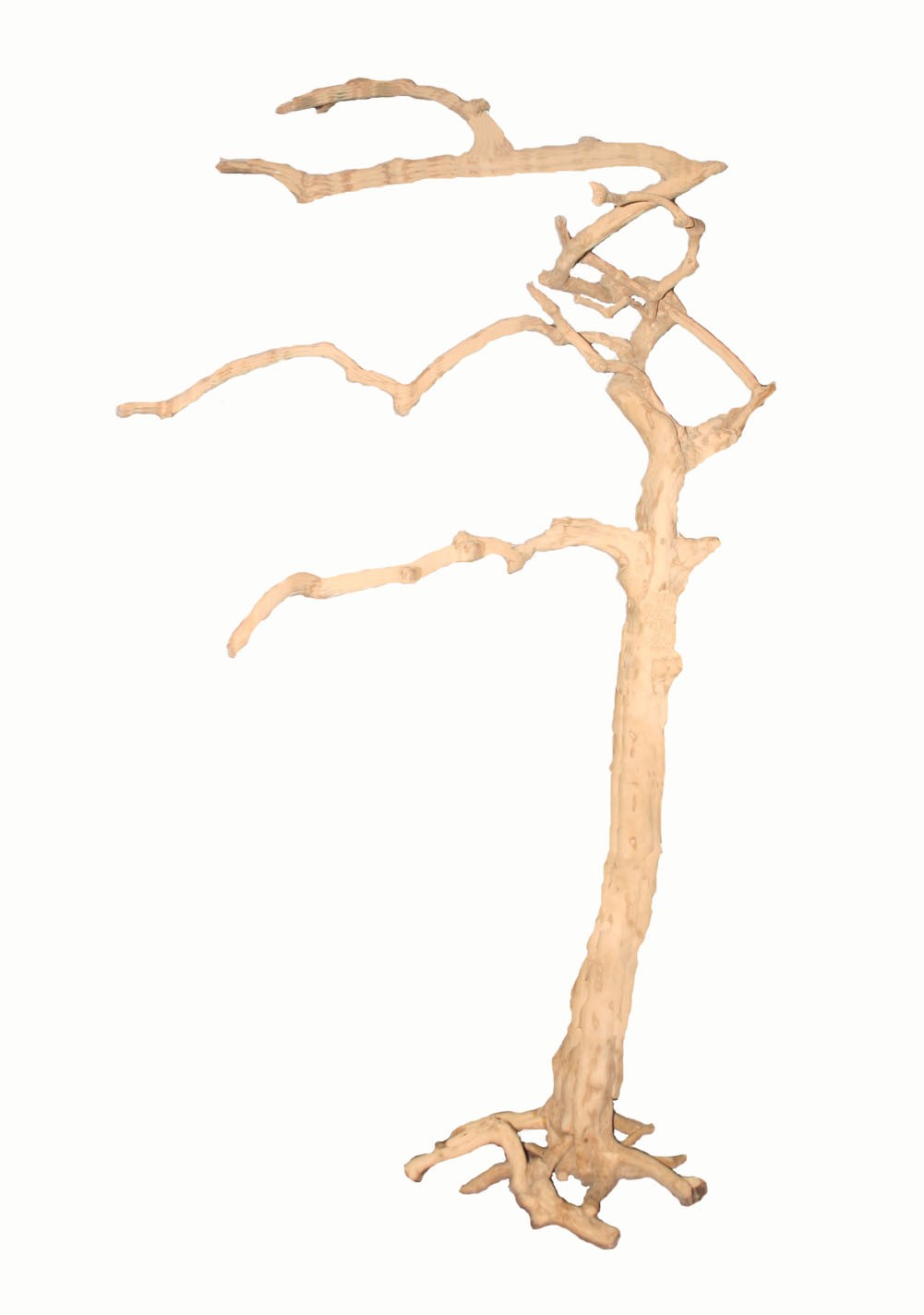 Java Tree Nr. 93  ca. 200 cm.