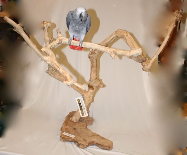 Java Tree Speelplaats 691