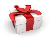 MEDIUM SURPRISE voor uw vogel € 75,-