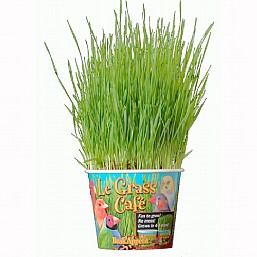Beak Appetit Le Grass Cafe
