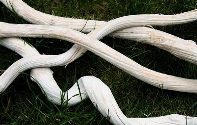 Liaan Braziel ca. 100 cm. Natuurlijke Zitstok