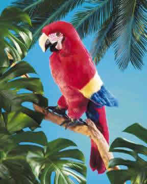 Macaw Red Folkmanis Handpop
