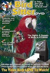 Bird Sitter DVD