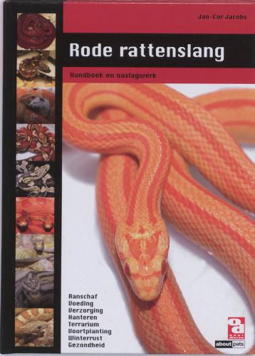 Rode Rattenslang