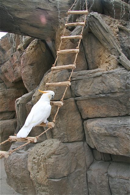 touwladder3.jpg