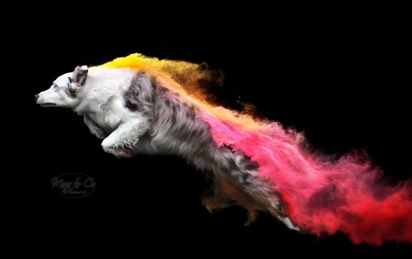 Holi-Powder Fotoshoot tijdens Dogpop